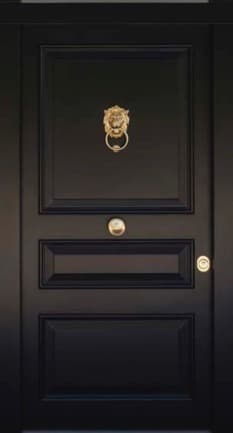 Close-up of solid brass lion-head knocker