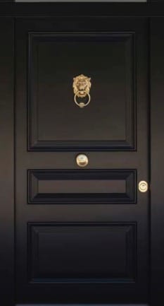 Brass lion head door knocker close-up